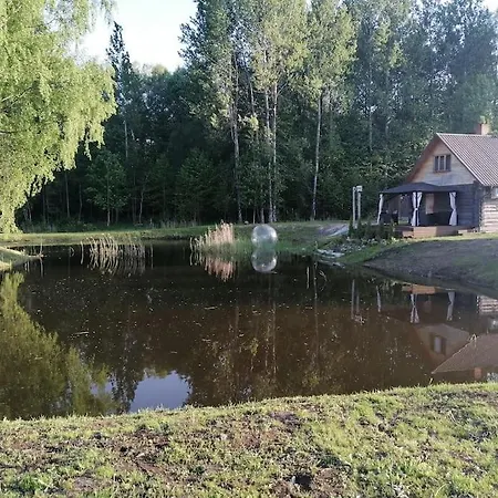 Holiday home With A Sauna& Pond+a Hot Tub Kenini
